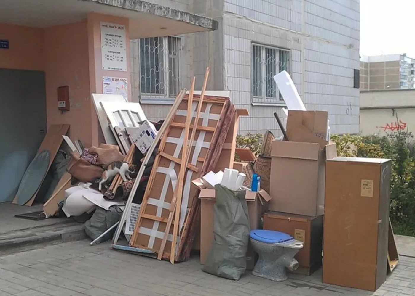 Профессиональный вывоз мусора из квартиры в Новоалтайске в октябре