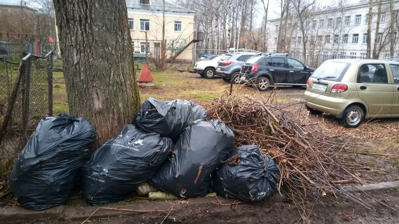 Вывоз мусора после субботника в Новоалтайске от ПроМусор – уборка и утилизация отходов от 2403 руб