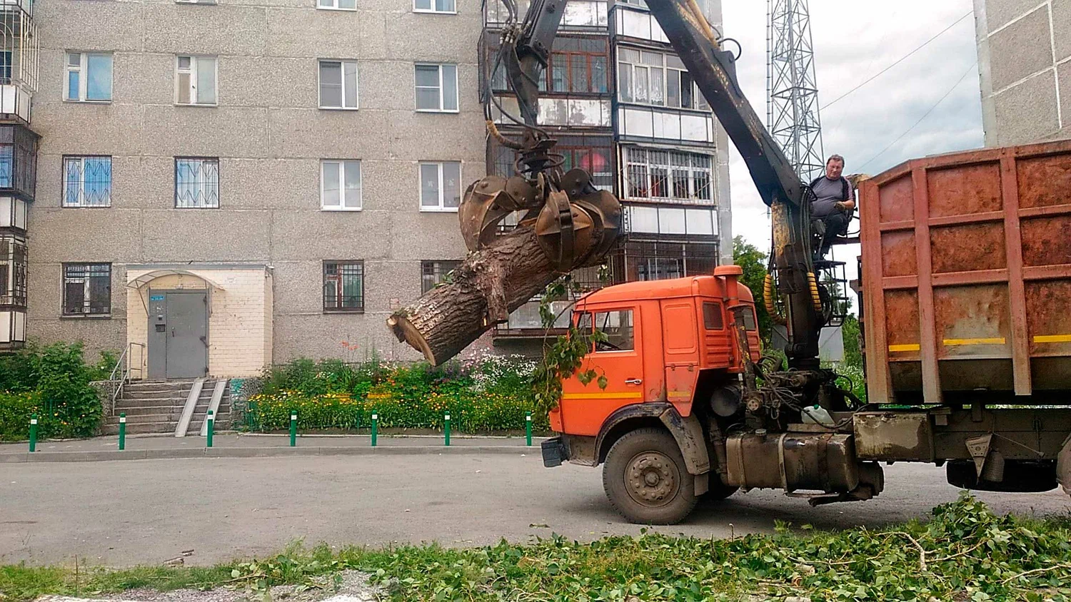 Вывоз спиленных веток и деревьев в Новоалтайске от ПроМусор: порубочные остатки, утилизация, цена от 2965 руб