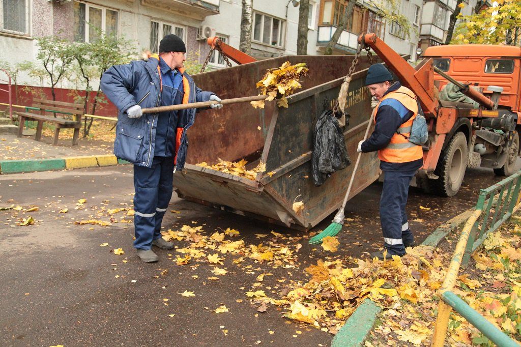 Вывоз опавшей листвы и растительного мусора в Новоалтайске от ПроМусор – цена от 4601 руб., быстрая уборка и утилизация